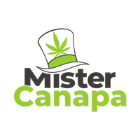 Mister Canapa