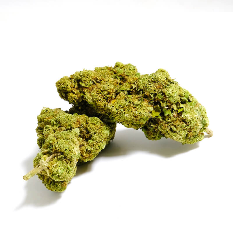 amnesia dream cbd