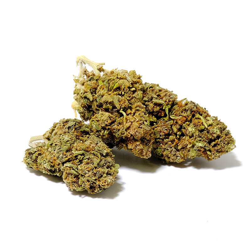 harlequin cbd