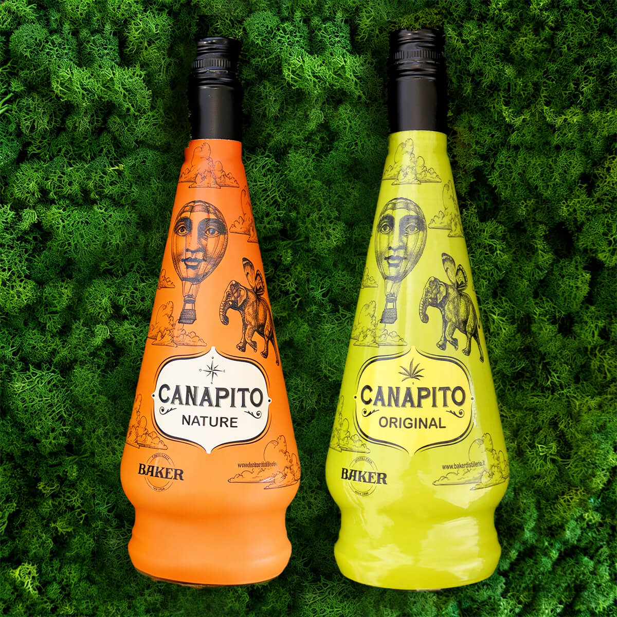 canapito liquore alla canapa