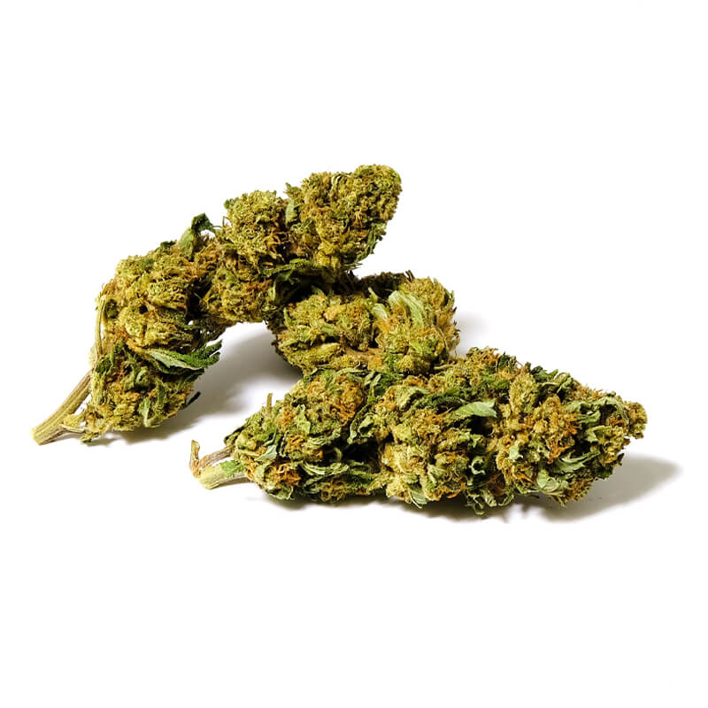 special edition CBD