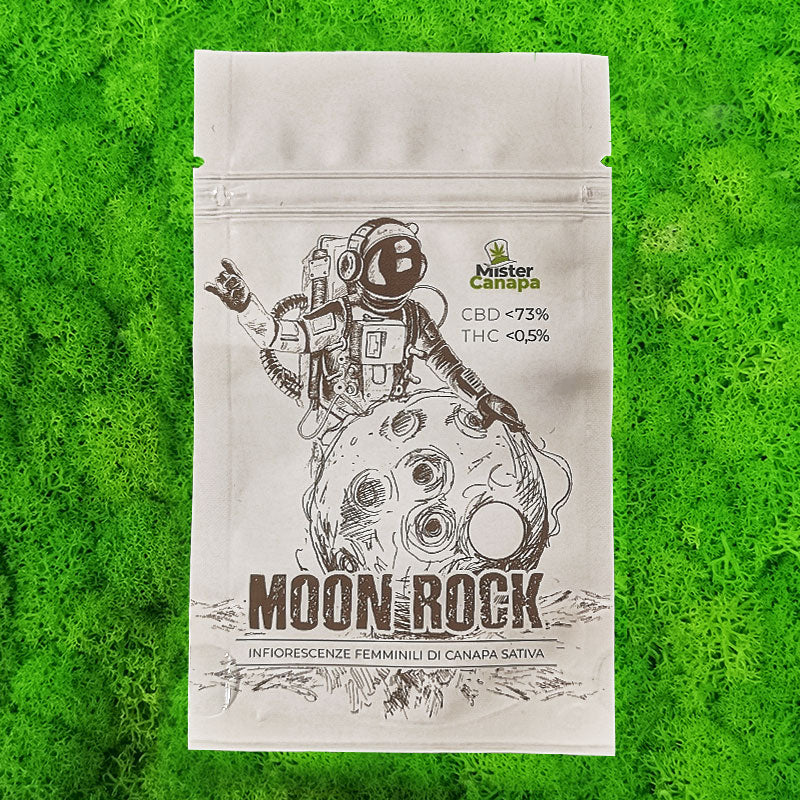 Moon Rock