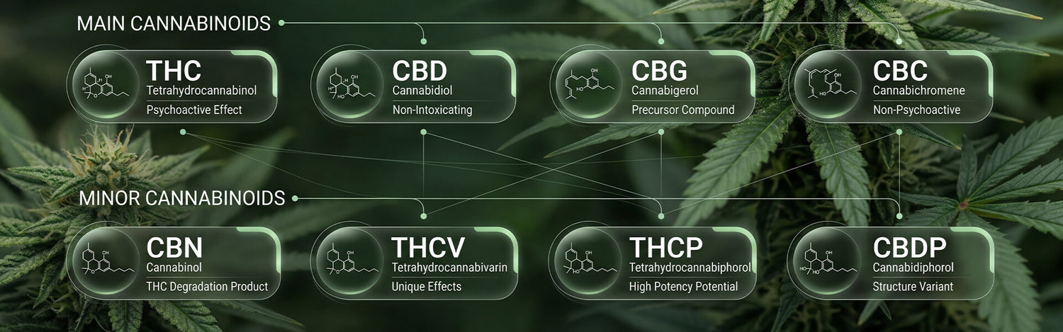 THC e CBD