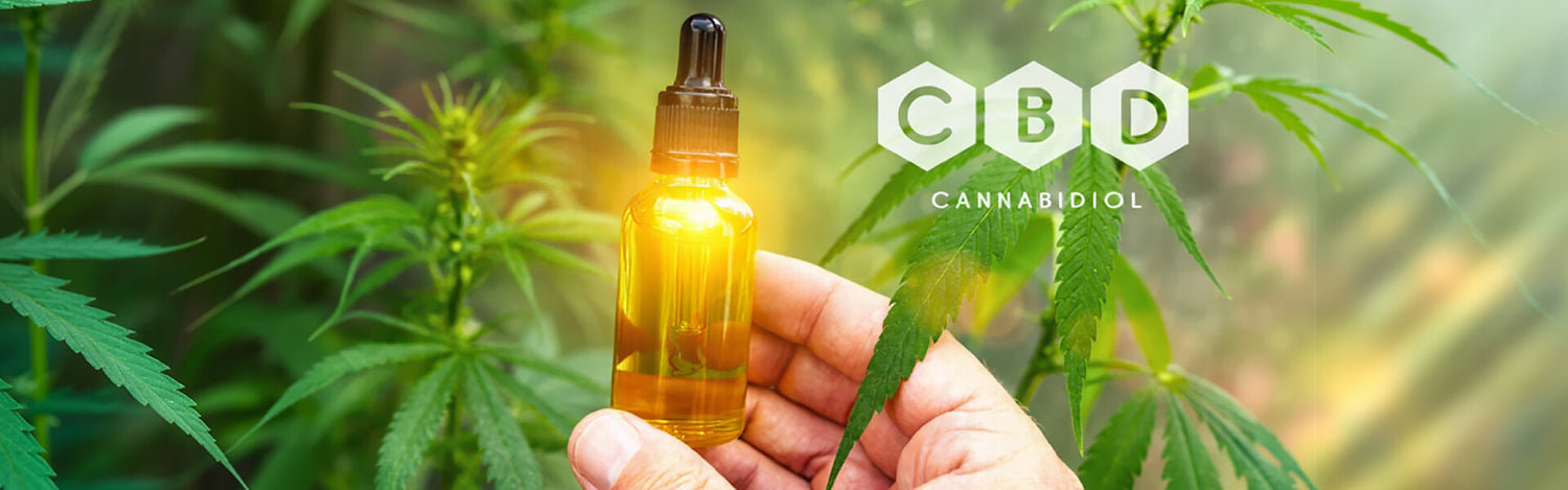 olio cbd dosaggio