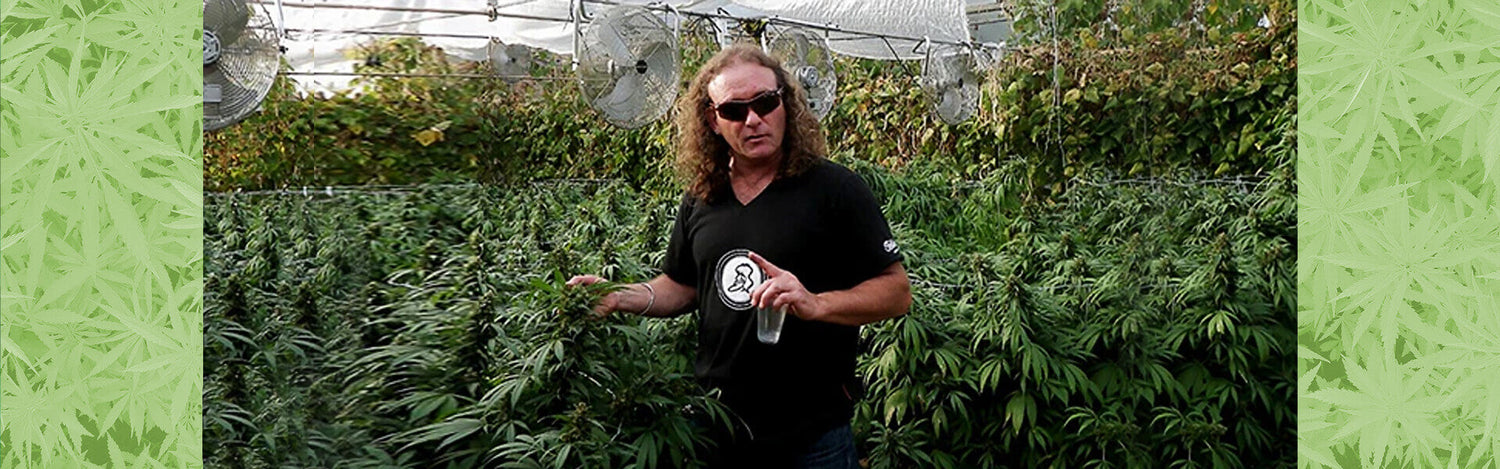 Intervista a Shantibaba