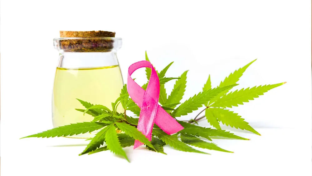 Potenziale antitumorale del CBD nel trattamento del cancro al seno