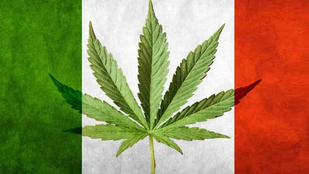 La legalizzazione del CBD in Italia: un'analisi dei pro e contro