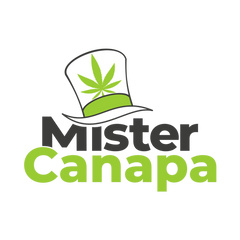 Mister Canapa