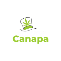 Mister Canapa
