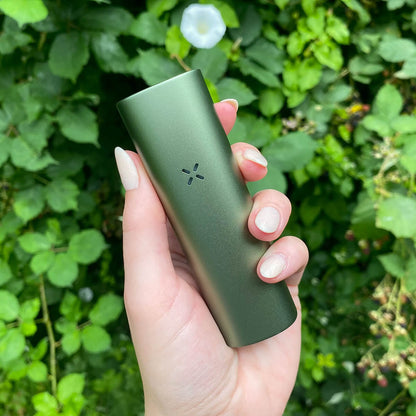 vaporizzatore pax flow