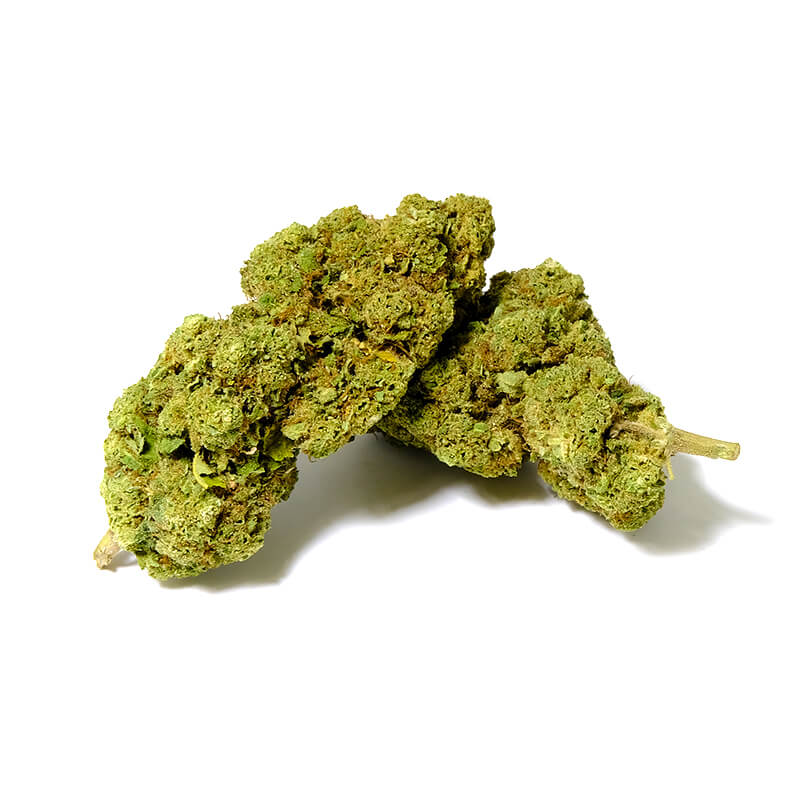 amnesia dream cbd