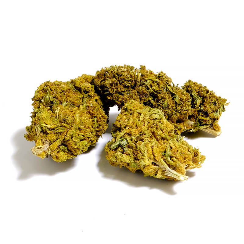 bubble gum cbd
