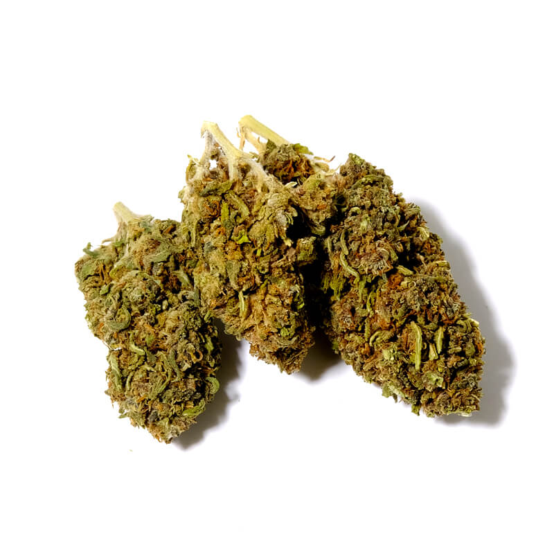 harlequin cbd