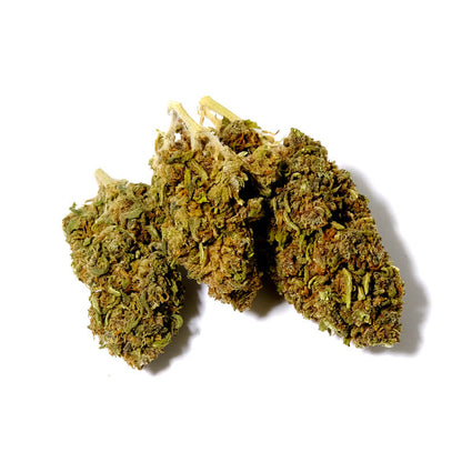 harlequin cbd