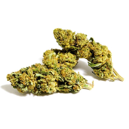 special edition CBD 