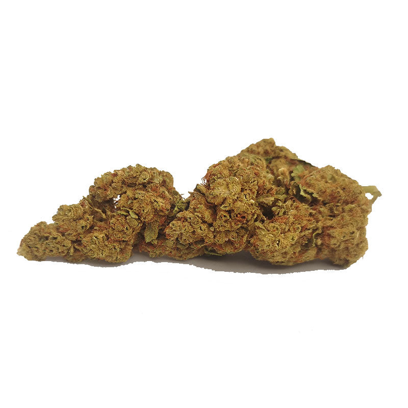 Alien Cookie