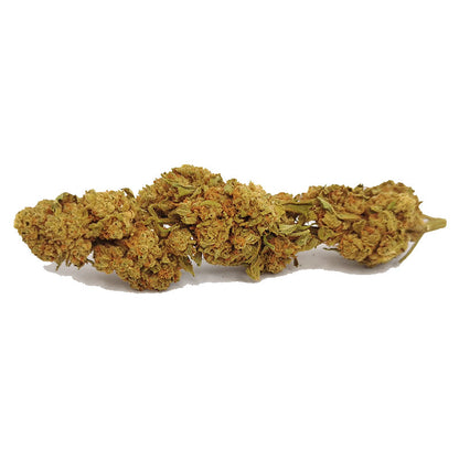 alien Cookie cbd