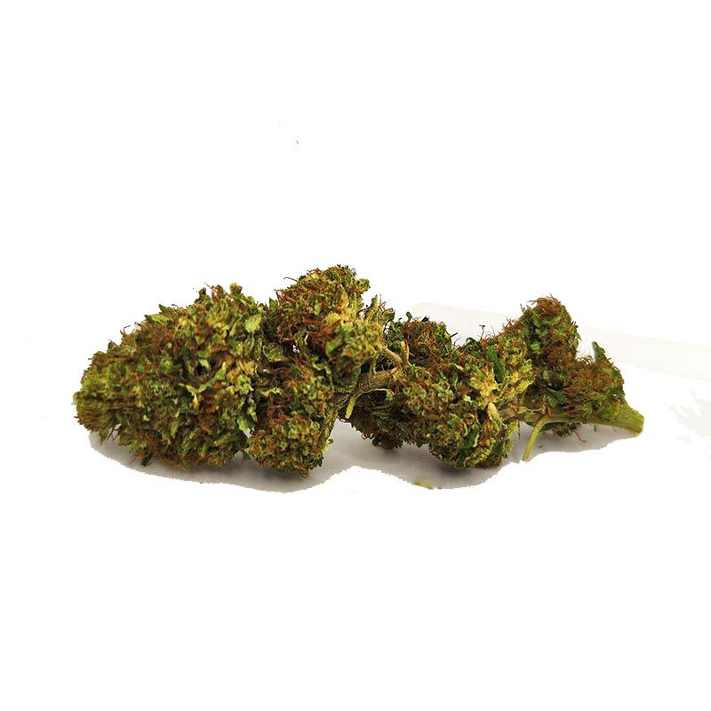 Tropical Haze