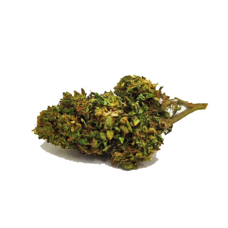 tropical haze cbd